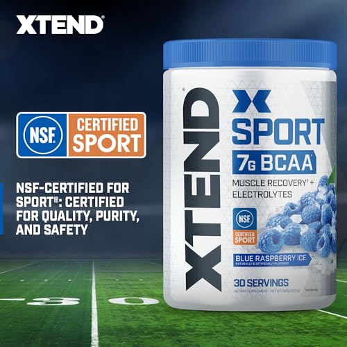Blue Raspberry Ice BCAA Powder with Electrolytes - 30 Servings L2484
