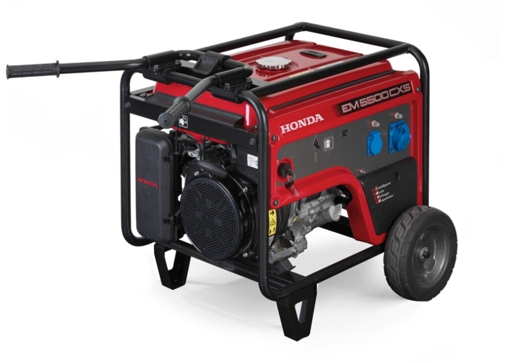 5500 Watt Generator E333