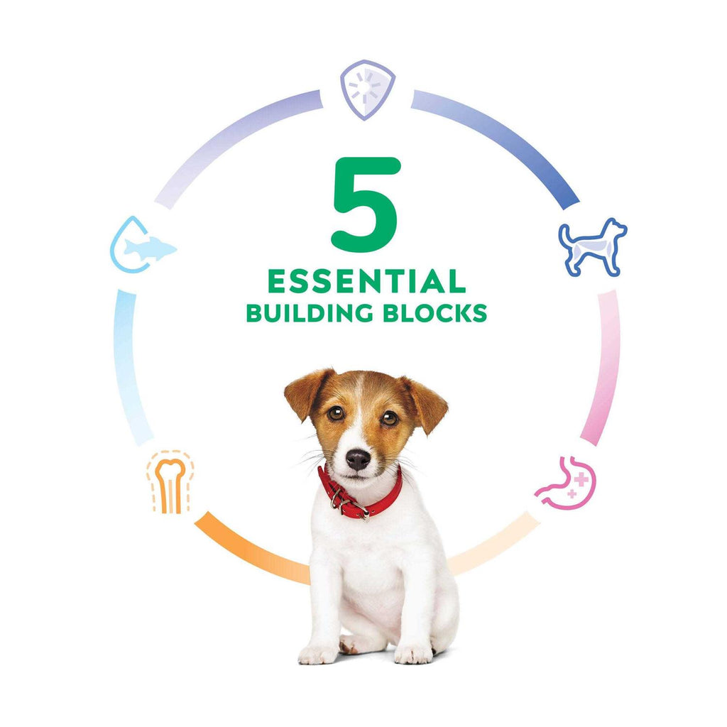 Puppy Small Bites Chicken Recipe Dry Dog Food A9533