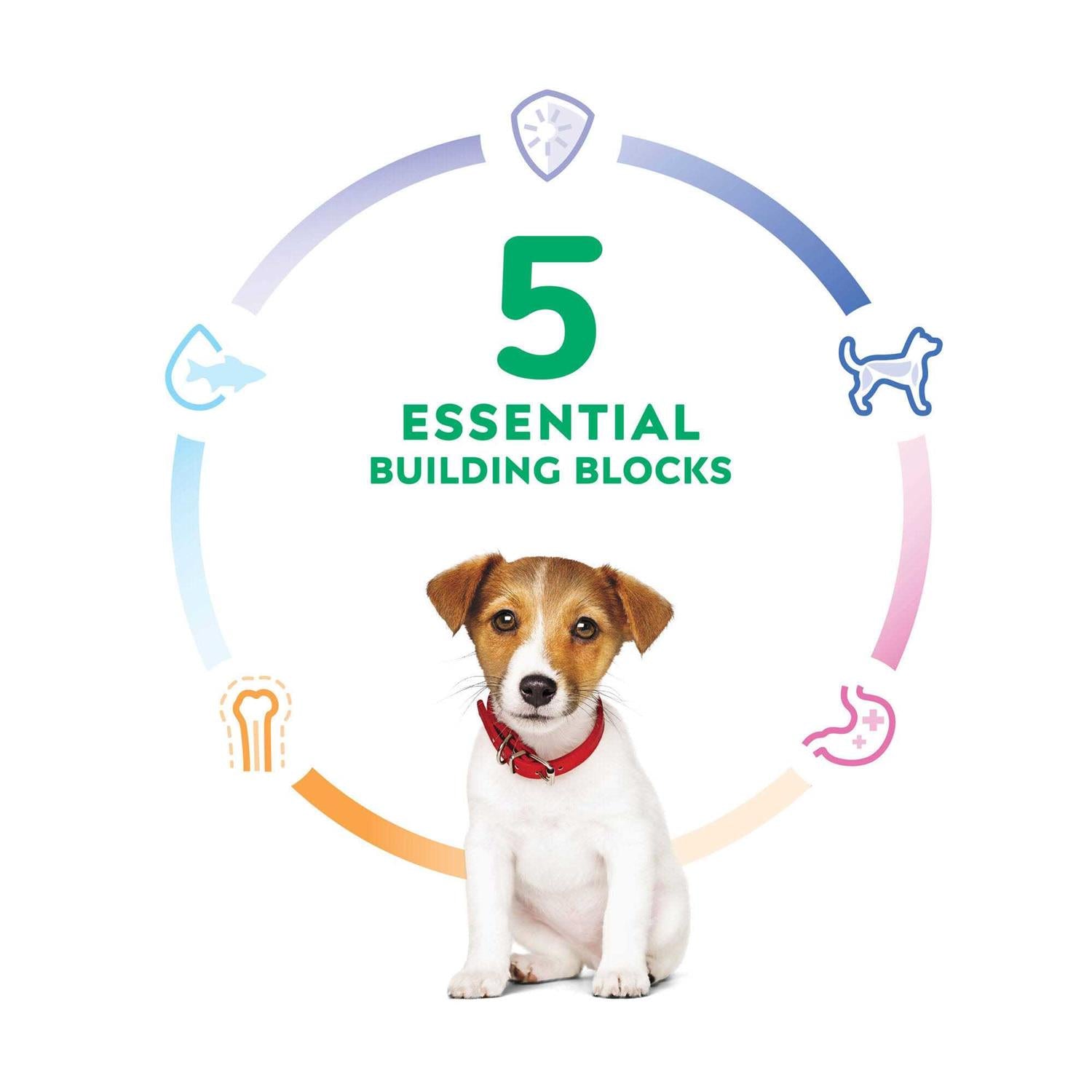 Puppy Small Bites Chicken Recipe Dry Dog Food A9533