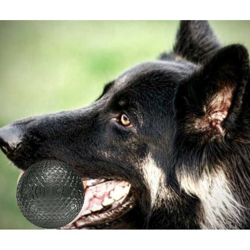 Kong Duramax Ball Dog Toy E387