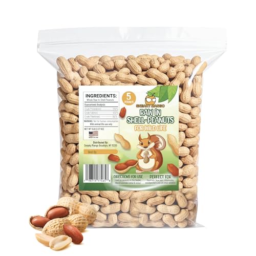 Raw Peanuts in Shell - 5 Pounds T582221