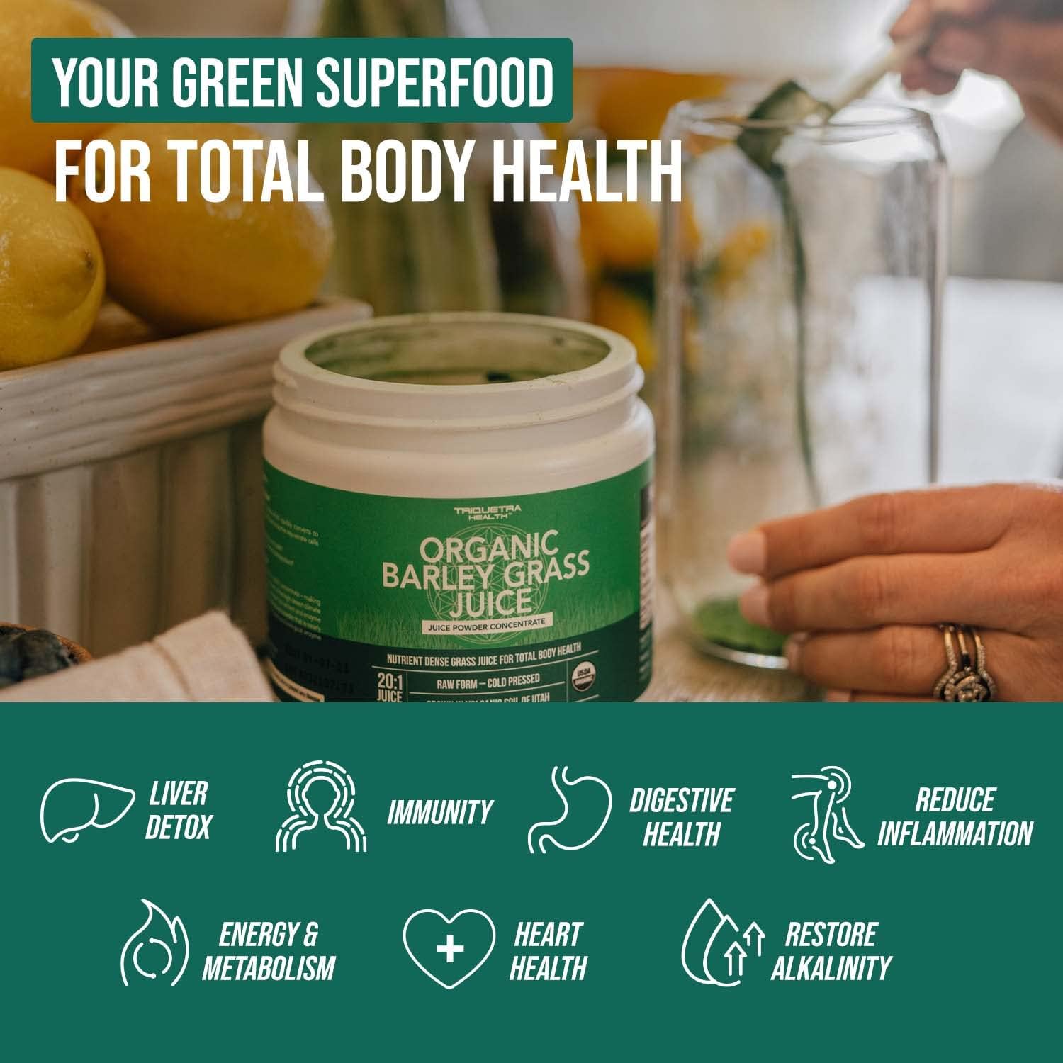 Organic Barley Grass Juice Powder, Cold-Pressed, CO2 Dried, Gluten Free, Vegan, 5.3 oz R457543