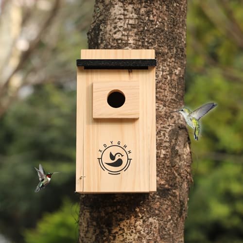 2 Pack Bird Houses N944