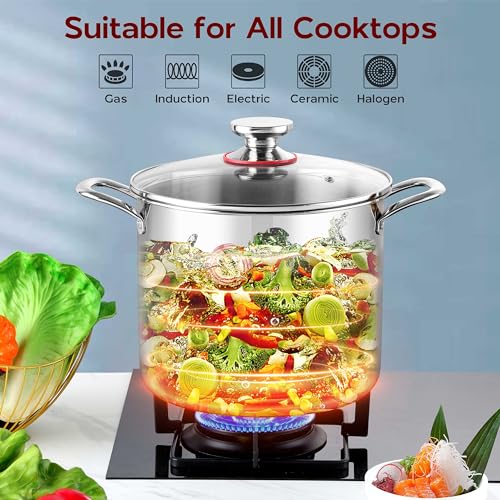 18/10 Stainless Steel 8 Quart Stock Pot with Lid Tri-Ply Induction Pot G9294