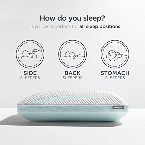Queen White Memory Foam Pillow M899037