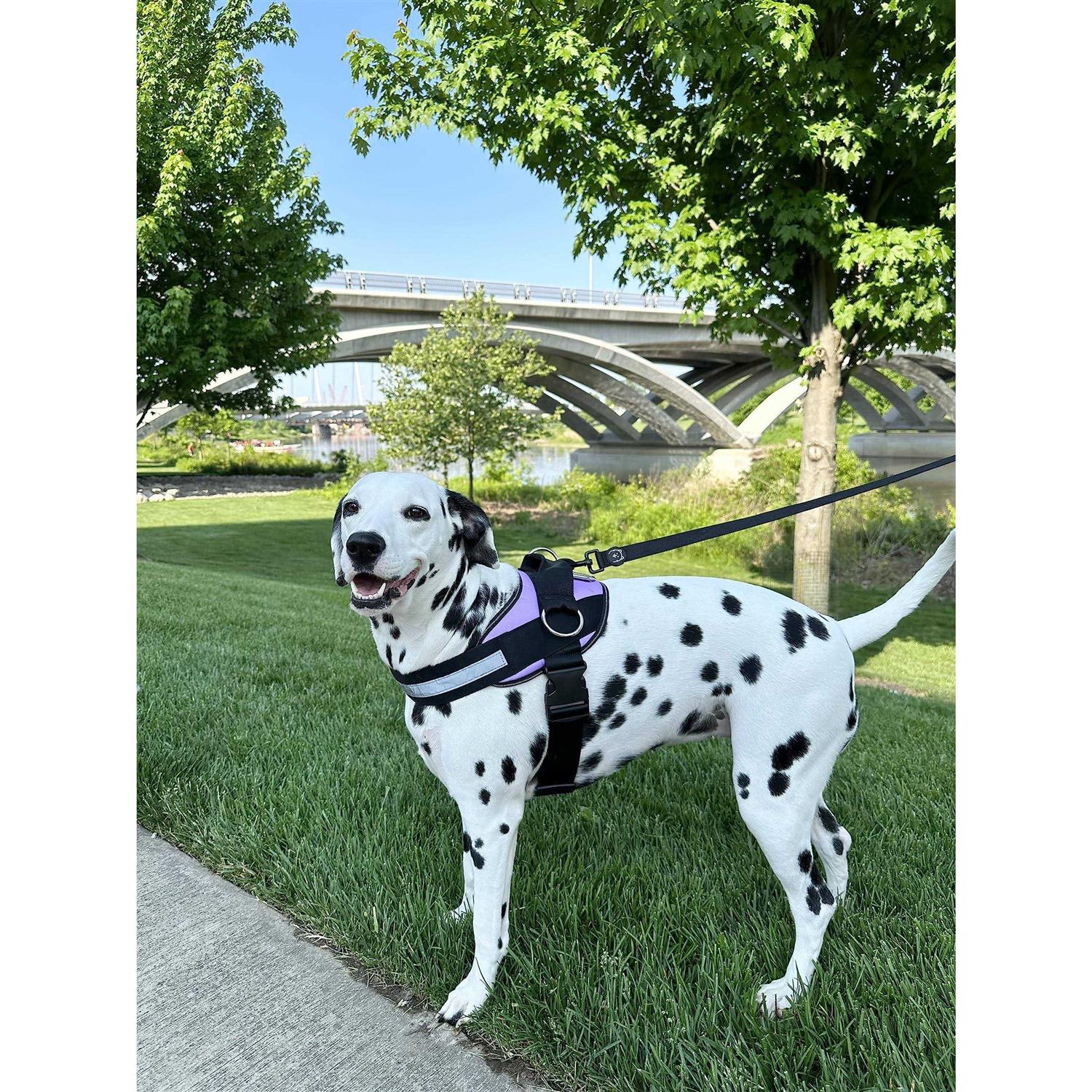 Reflective Adjustable No-Pull Dog Harness K23544