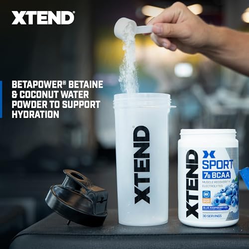 Blue Raspberry Ice BCAA Powder with Electrolytes - 30 Servings L2484