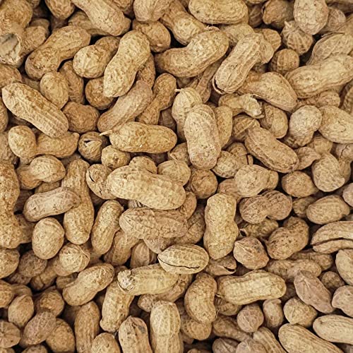 25 lb Virginia in Shell Animal Peanuts V5478