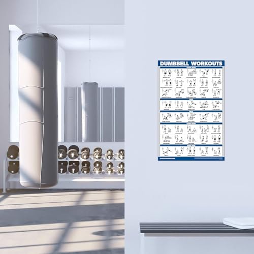 LAMINATED 18" x 24" Dumbbell Workout Poster J379