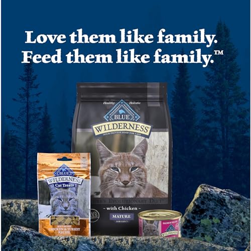 Salmon Paté Wet Cat Food, 3-oz. Cans, 24 Count U2945