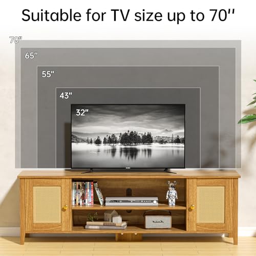 Rattan TV Stand with Storage N9410