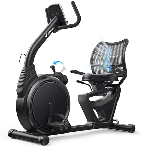 Magnetic Recumbent Exercise Bike with Bluetooth T624011