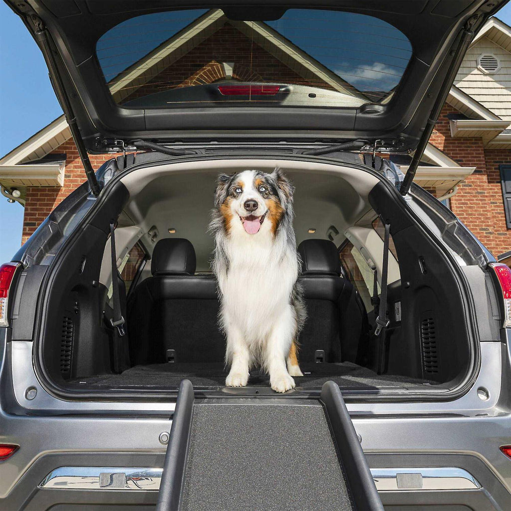 Folding Pet Ramp N17261