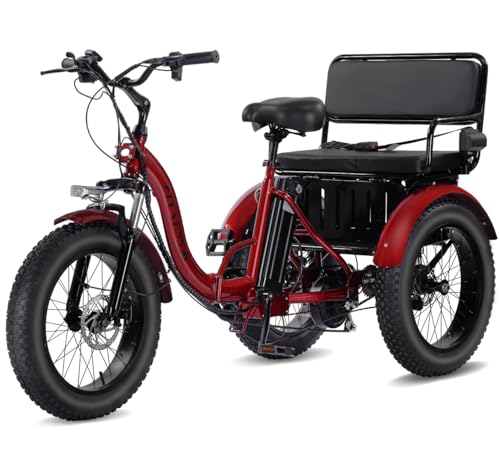 Adult Electric Tricycle 3 Wheel Bike Y514