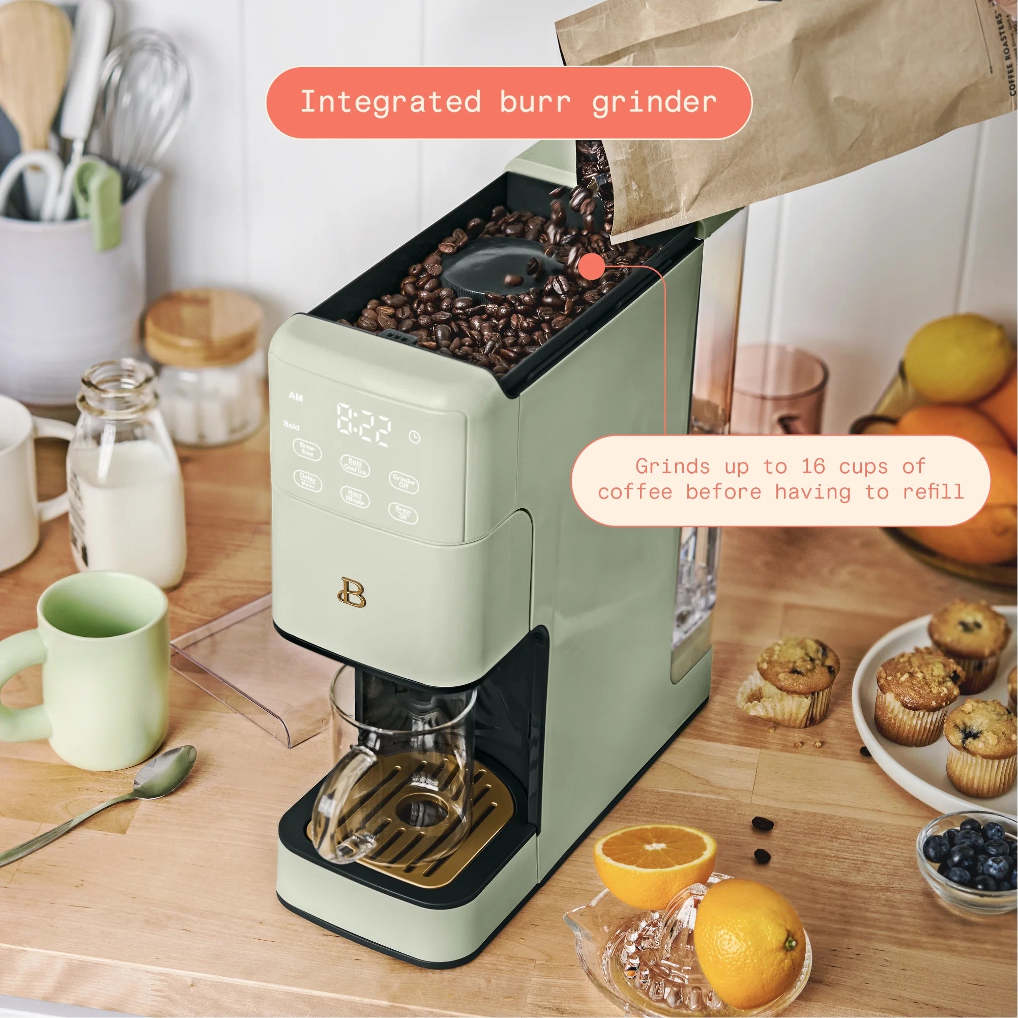 Sage Green Programmable Single Serve Coffee Maker B247