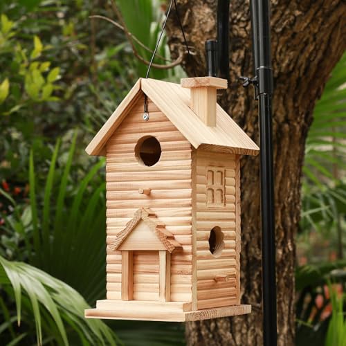 2 Hole Wooden Bird House O45255
