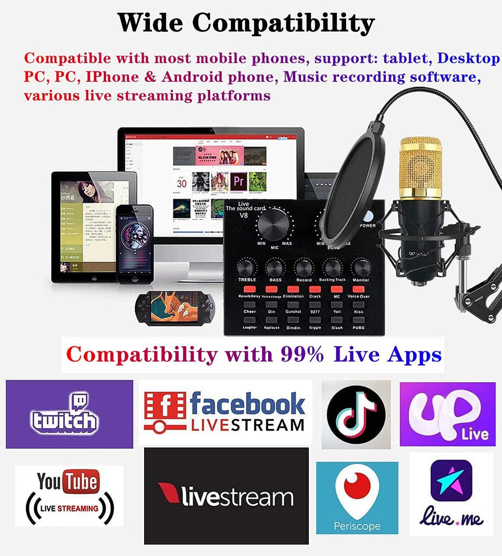 Podcast Equipment Bundle with Voice Changer Live Sound Card Audio Interface Pack of 2 Y52459