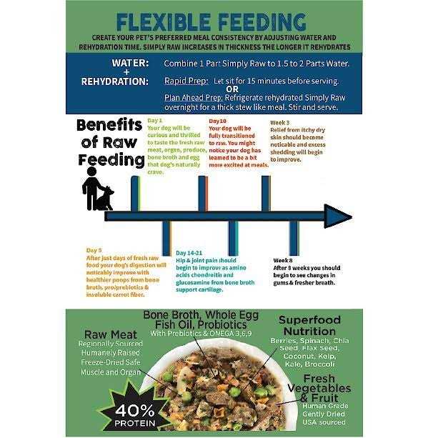 Freeze-Dried Raw Whole Food Meal Makes 18 Lbs Fresh Raw Food V5291