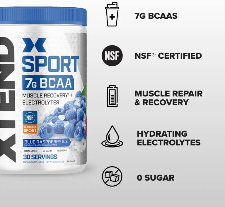 Blue Raspberry Ice BCAA Powder with Electrolytes - 30 Servings L2484