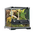 Glass Terrarium X682