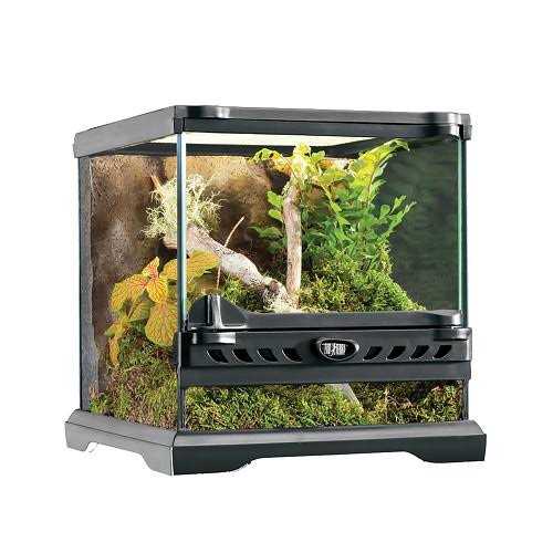 Glass Terrarium X682