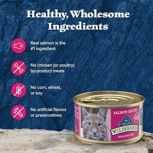 Salmon Paté Wet Cat Food, 3-oz. Cans, 24 Count U2945