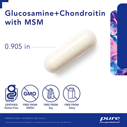 Glucosamine Chondroitin with MSM 120 Capsules Y3184