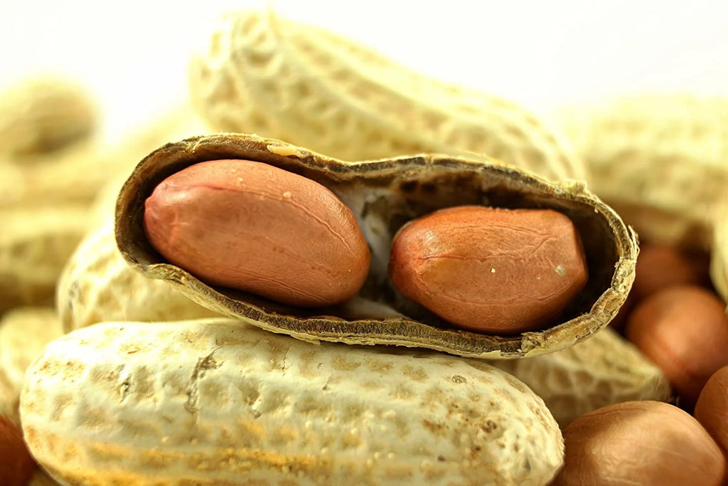 50 LBS Virginia Peanuts P52579