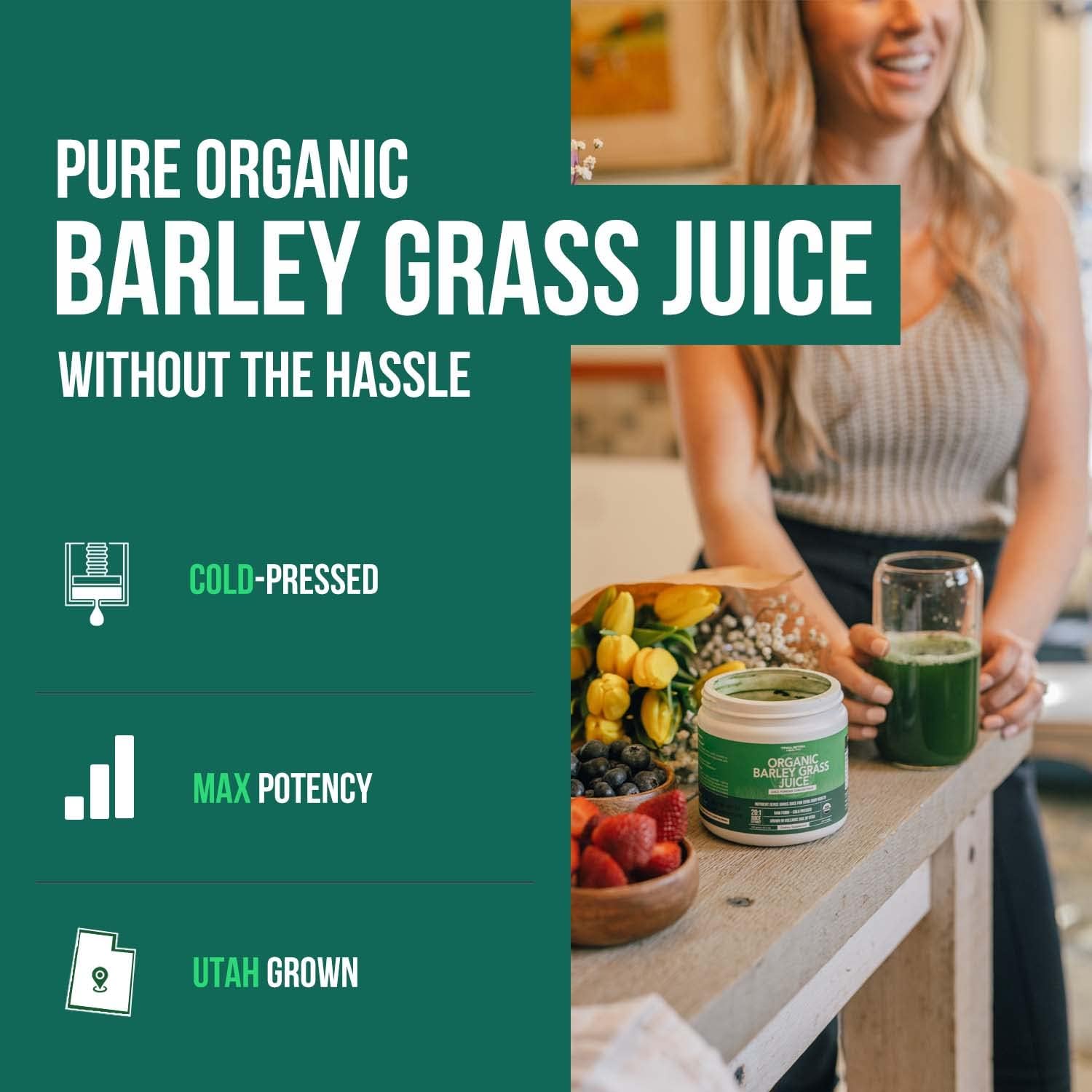 Organic Barley Grass Juice Powder, Cold-Pressed, CO2 Dried, Gluten Free, Vegan, 5.3 oz R457543