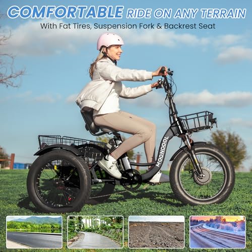 Electric Tricycle 350W 36V Removable Battery 7 Speeds 3 Wheels Q520