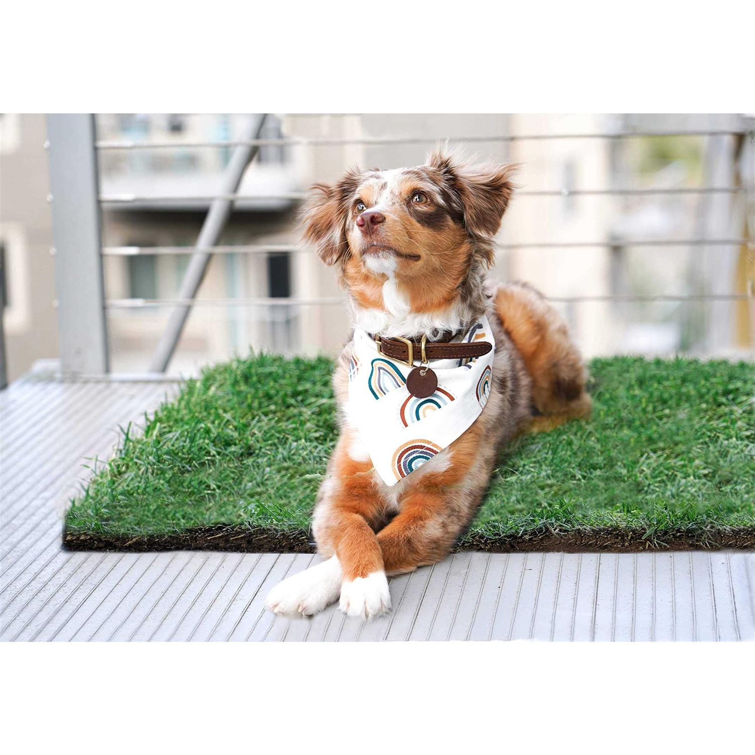 Real Grass Dog Potty R671517