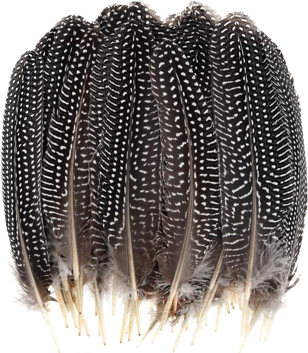 50 Pcs 15-20cm Natural Spotted Pheasant Feathers I391998