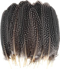 50 Pcs 15-20cm Natural Spotted Pheasant Feathers I391998