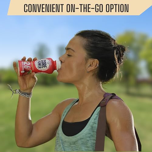 Chocolate Protein Milk Shakes, 14 Fl Oz (Pack of 12) and Key Chain B1668