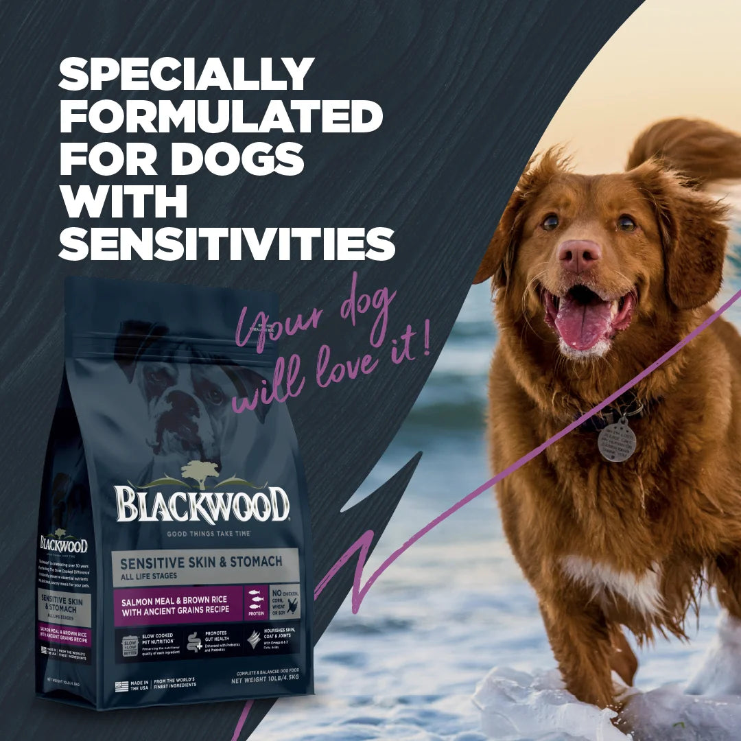 Blackwood Dry Dog Food Sensitive Skin & Stomach Salmon Meal with Ancient Grains 10 lb. A7783