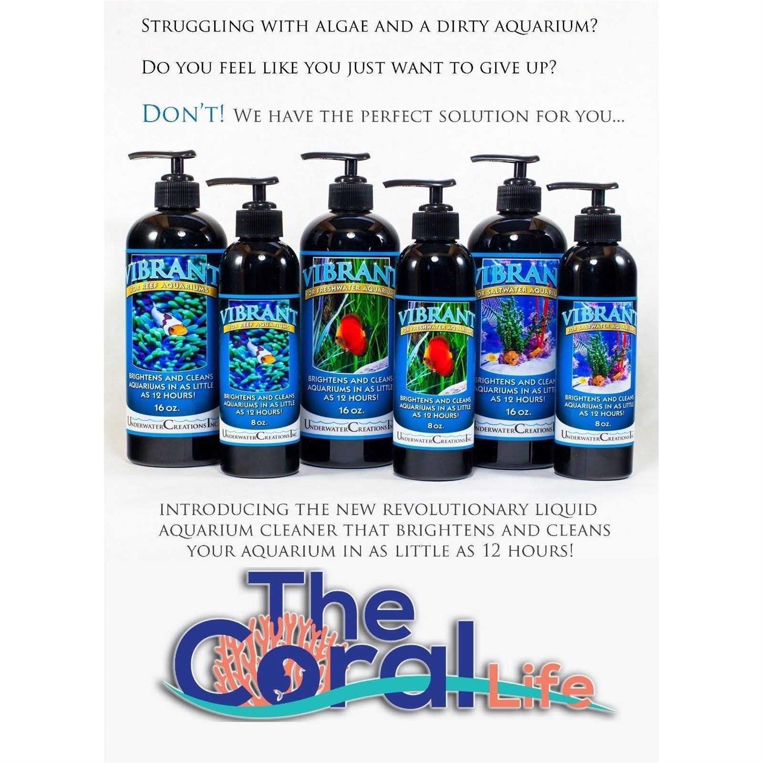 Vibrant For Saltwater Aquariums Y34566