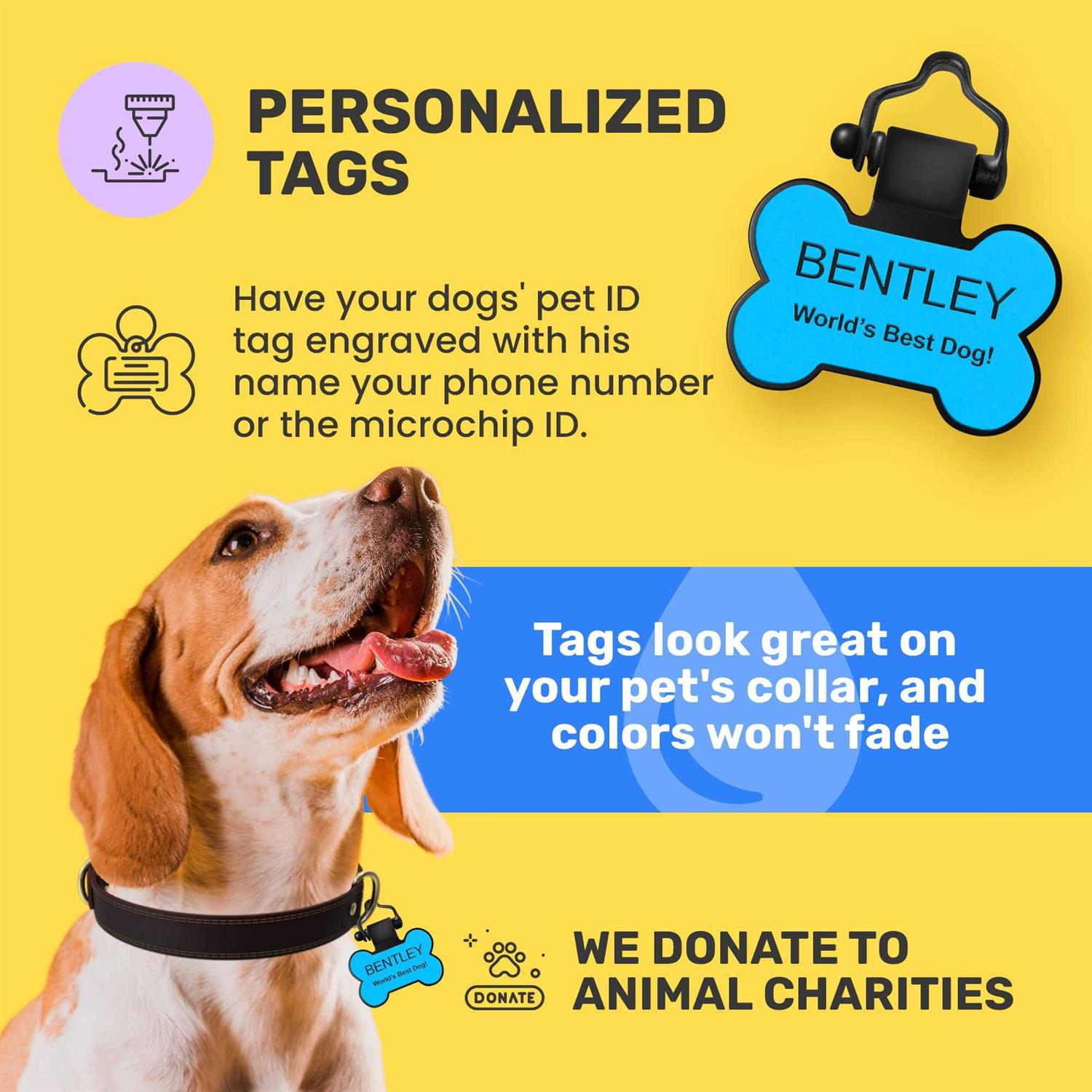 Personalized Silicone Pet ID Tag R929