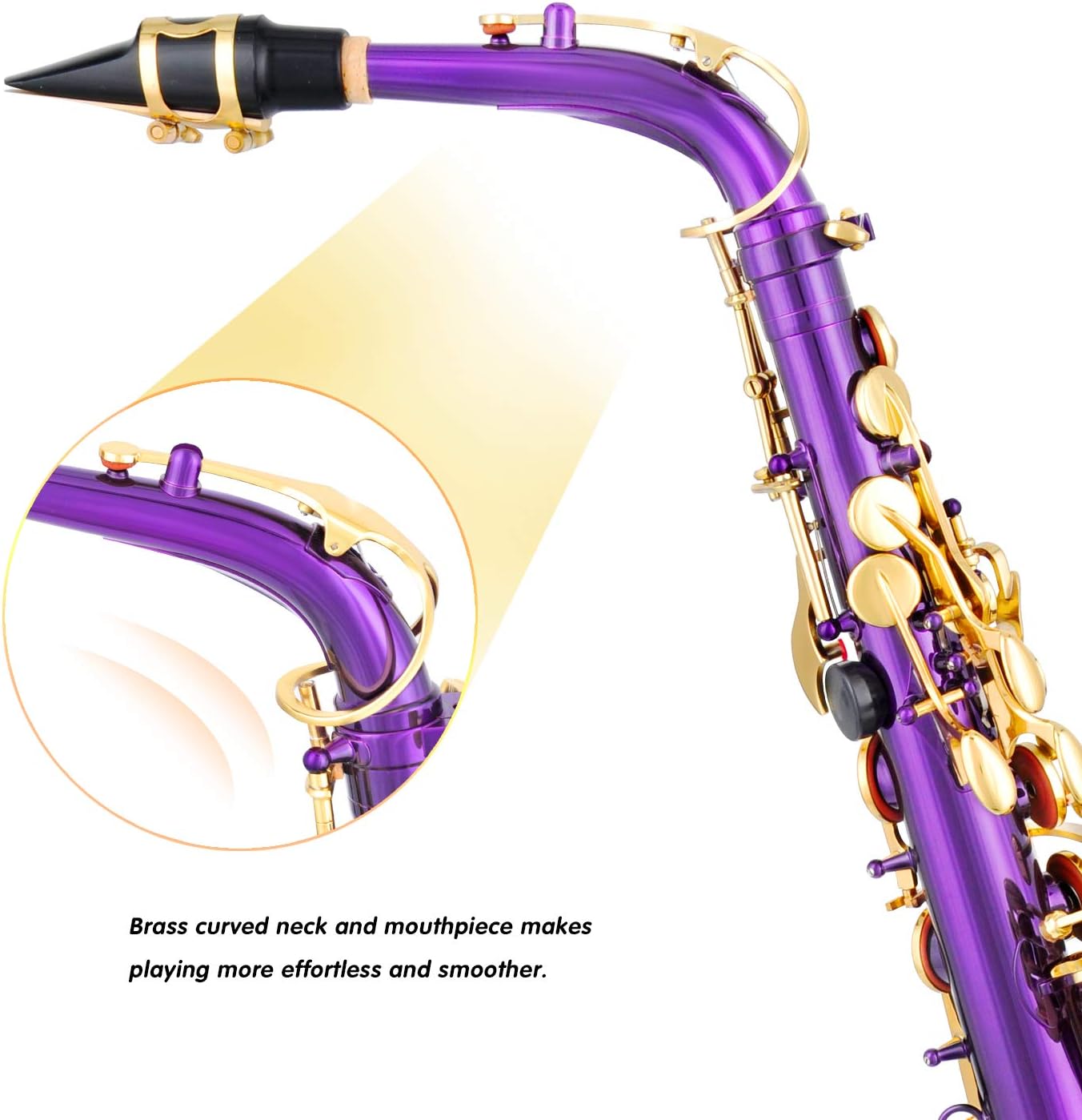 Purple/Golden Alto Saxophone B4604